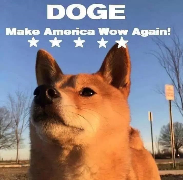 doge-america-wow