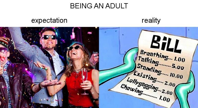 adult-expectation-reality-bill-party