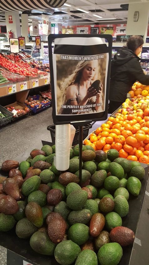 avocado-store-khaleesi-dragon