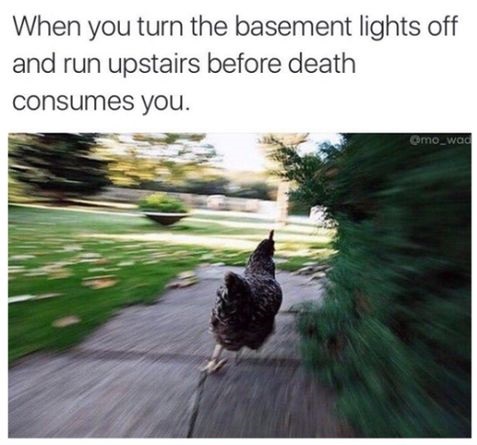 basement-chicken-running-scary