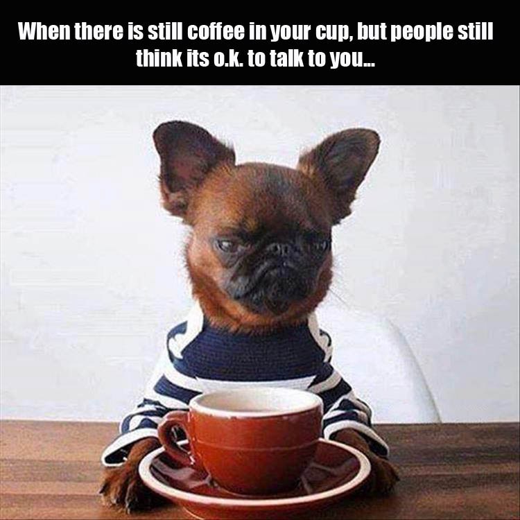 coffee-cup-people-grumpy