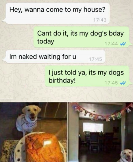 dogs-birthday-naked-text