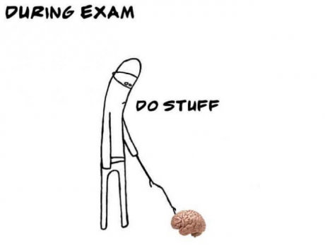 exam-comics-brain