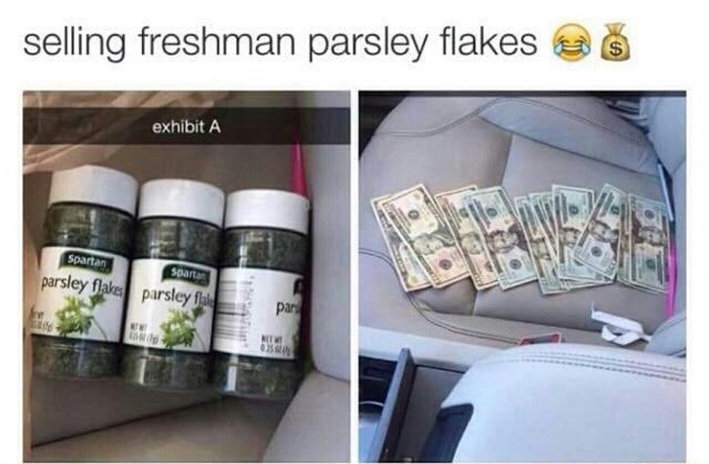 freshman-parsley-flakes