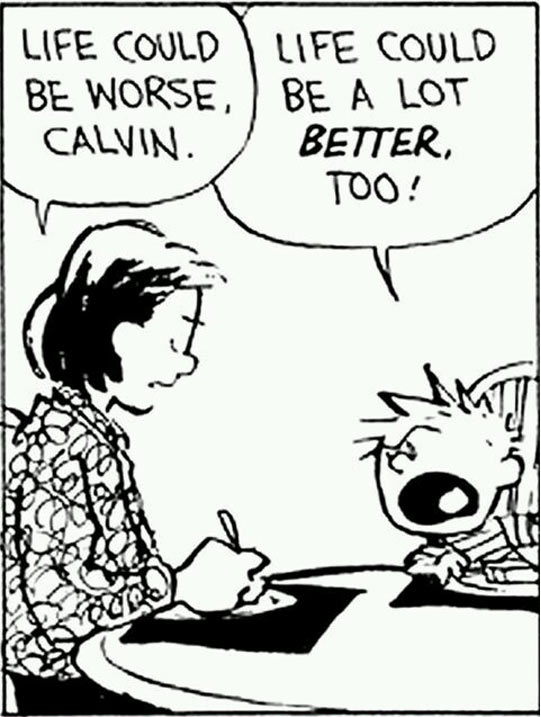funny-Calvin-Hobbes-life-mom