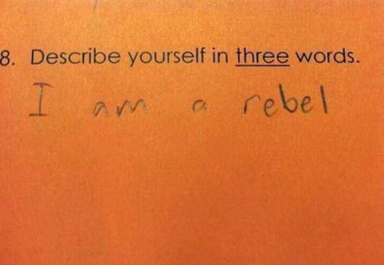 funny-describe-three-words-rebel
