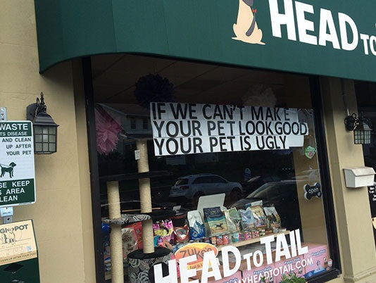 funny-pet-store-sign-style