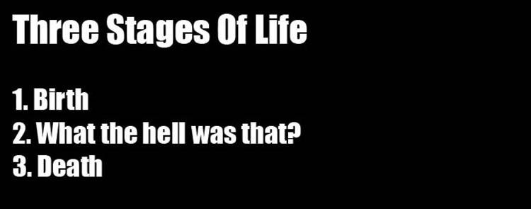 stages-of-life