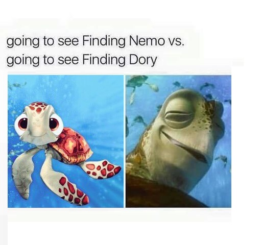 finding-nemo-finding-dory
