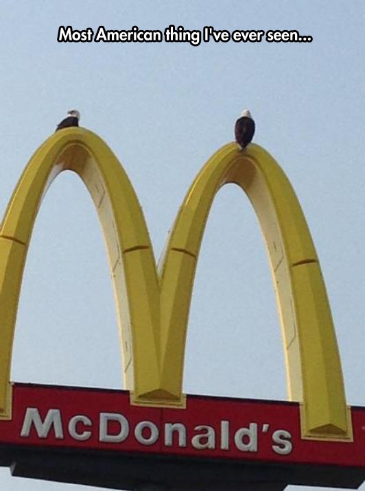funny-McDonalds-hawk-America-symbols