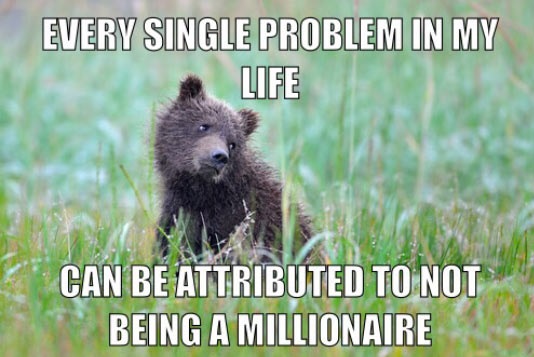 funny-bear-problem-life-millionaire