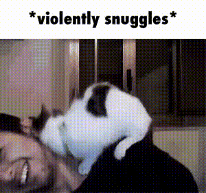 snuggle-cat-gif-violently