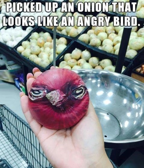 angry-bird-onion