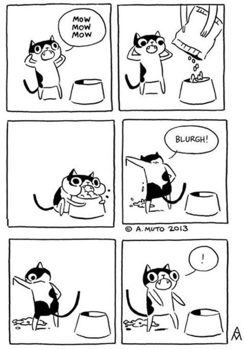 comics-every-cat-food