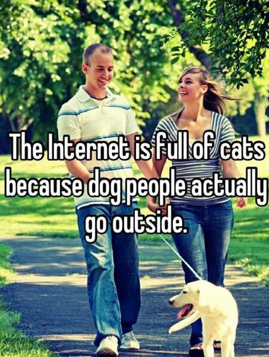 cool-dogs-cats-people-outside