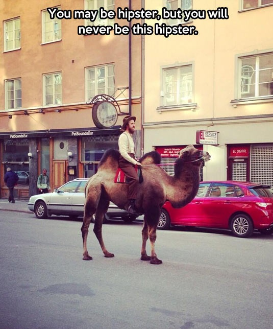 cool-hipster-camel-street-man