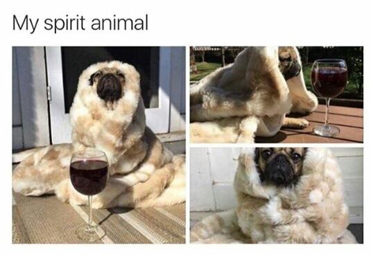 dog-wine-spirit-animal