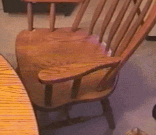 funny-gif-gym-cat-chair