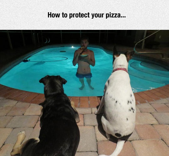funny-man-eating-pool-dogs