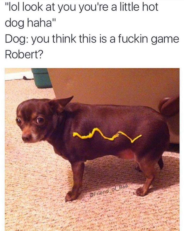 hot-dog-reaction-face