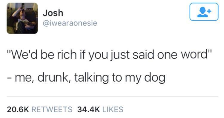 rich-talking-dog-drunk