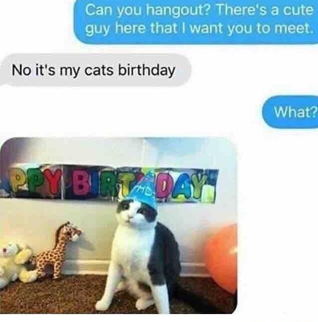 cat-birthday-text