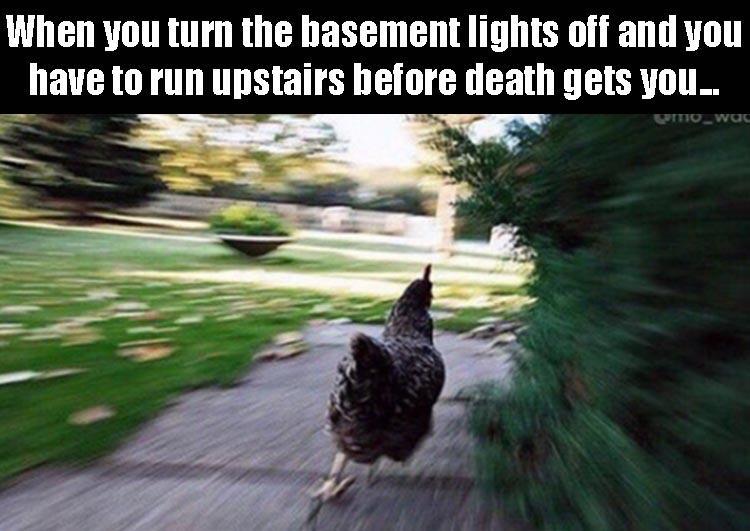 chicken-basement-scary-running