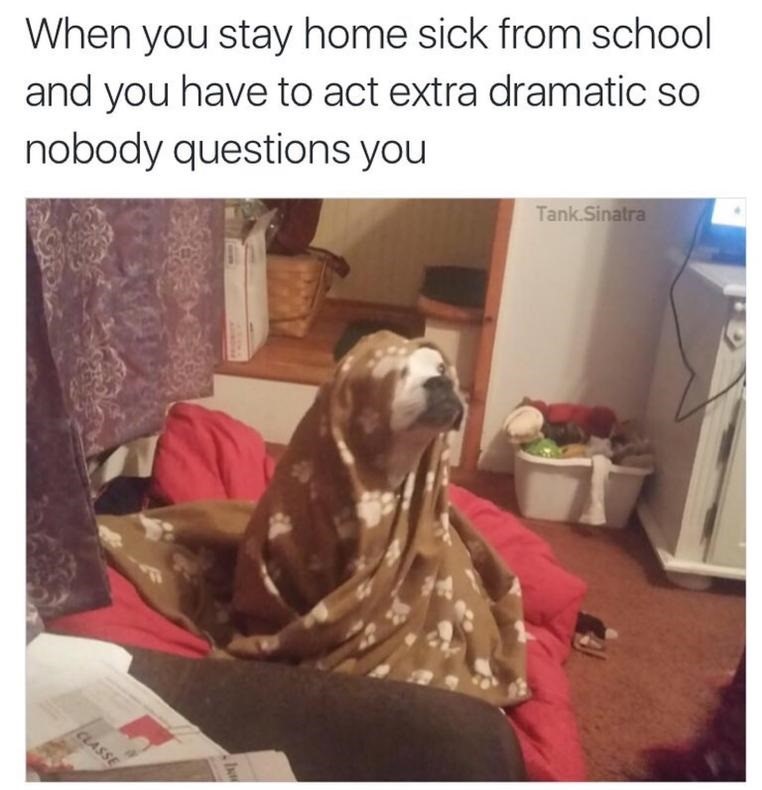 dog-blanket-sick