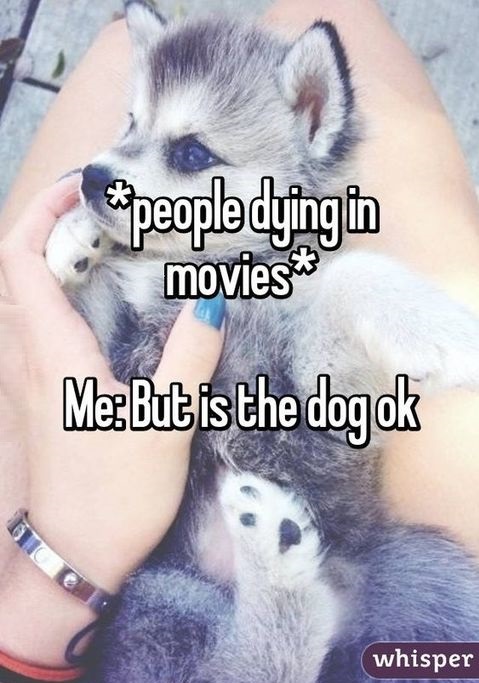 people-dog-movie