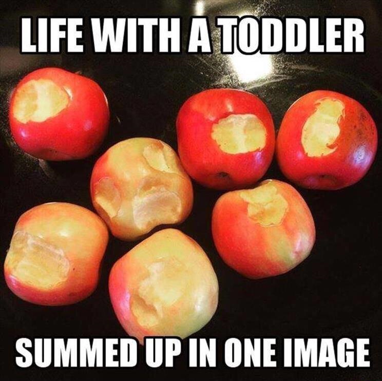 toddler-life-apples