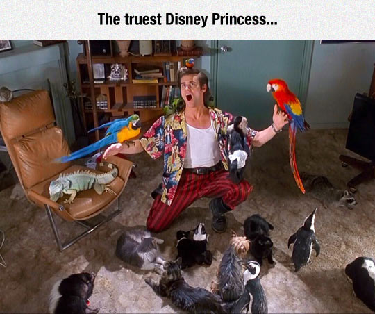 The only true Disney Princess