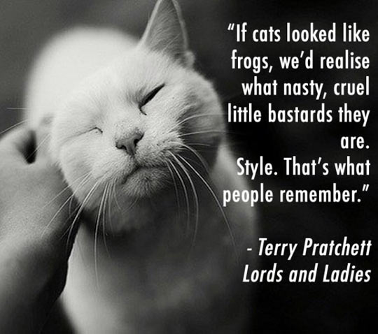 cool-terry-pratchett-cat-frog