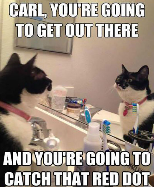 cool-cat-mirror-motivation-bathroom