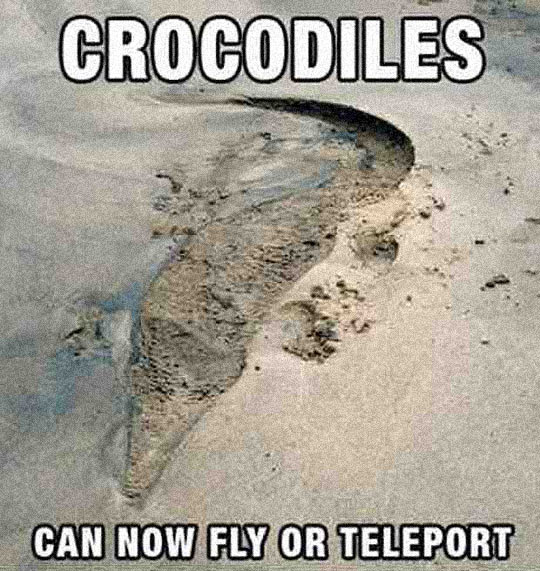 cool-crocodile-sand-trace-teleport