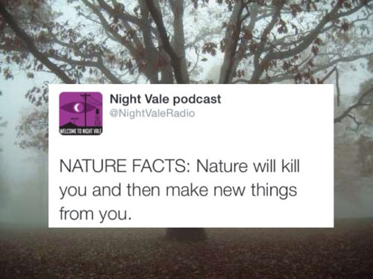 cool-fact-nature-make-new-thing