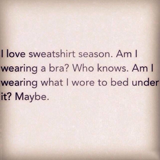 cool-sweatshirt-season-bra-bed
