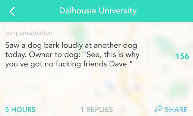 dog-bark-no-friends