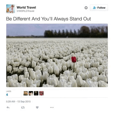 gif-post-twitter-different