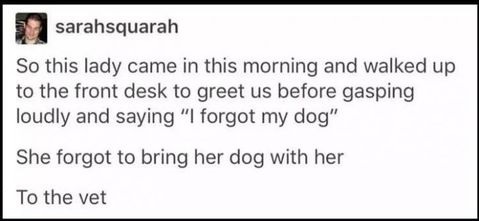 lady-vet-dog-forgot