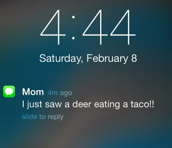 mom-text-deer-eating-taco