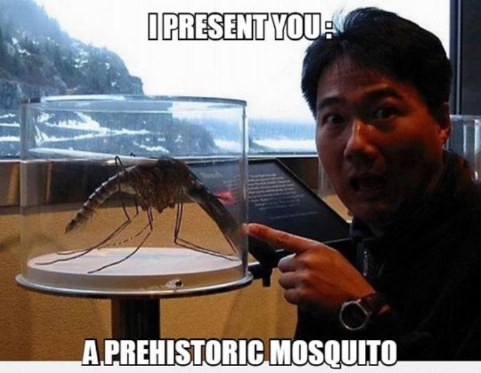 prehistoric-mosquito