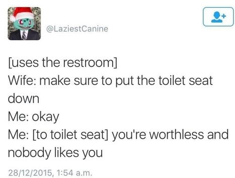 wife-toilet-worthless