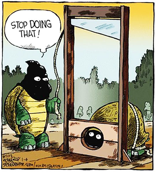 funny-cartoon-turtle-guillotine.jpg