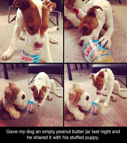 funny-dog-peanut-butter-jar