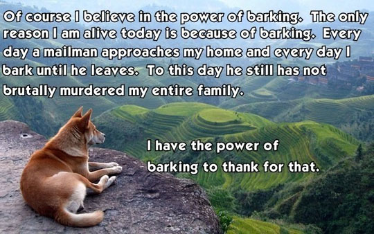 cool-dog-thinking-mountain-barking