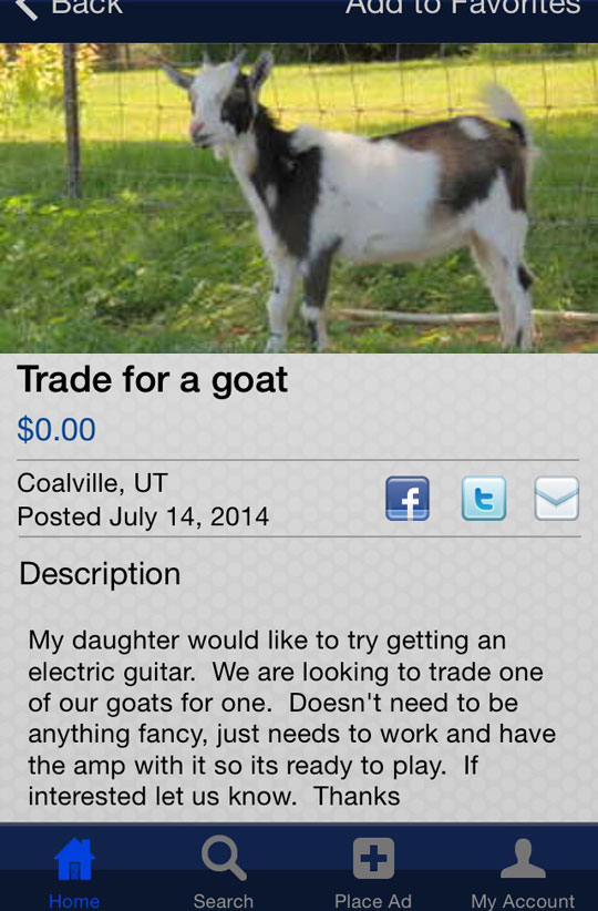 cool-goat-trade-electric-guitar