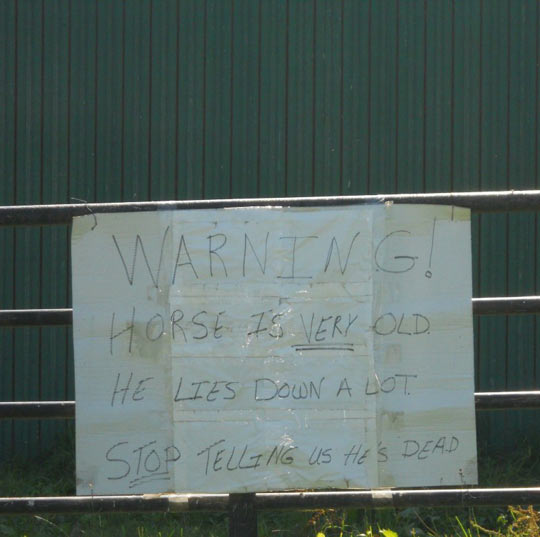 cool-sign-warning-horse-lies-down