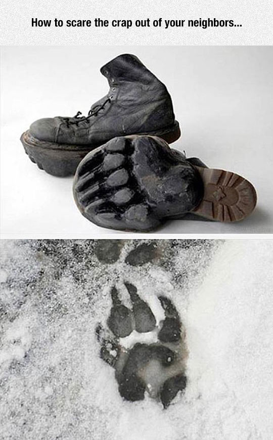 funny-boots-bear-footprints